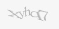 Защитный код