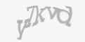 Защитный код